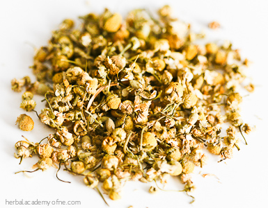 chamomile herb we love for summer