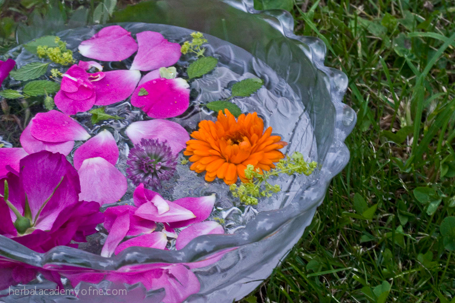 Making Flower tea