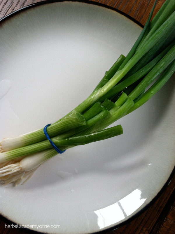 growing green onions preview