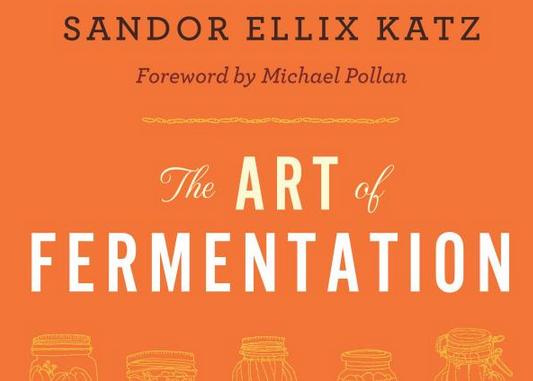 the art of fermentation