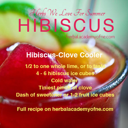 HERBS we love for summer, hibiscus