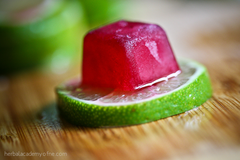 Hibiscus cubes