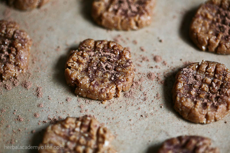 Cacao Dusted Peanut Butter Cookies | Herbal Academy | Healthy, almost raw, Peanut Butter Cookies made with cashews and dates! They're gluten and wheat free, without flour, refined sugars, eggs, or butter.