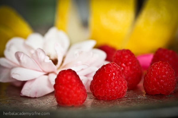 rose and berry parfait