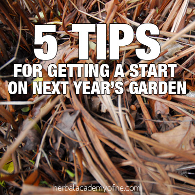 5 tips for getting a start on next year's garden this fall