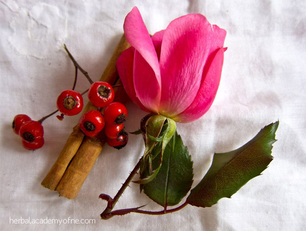 cinnamon for health tea