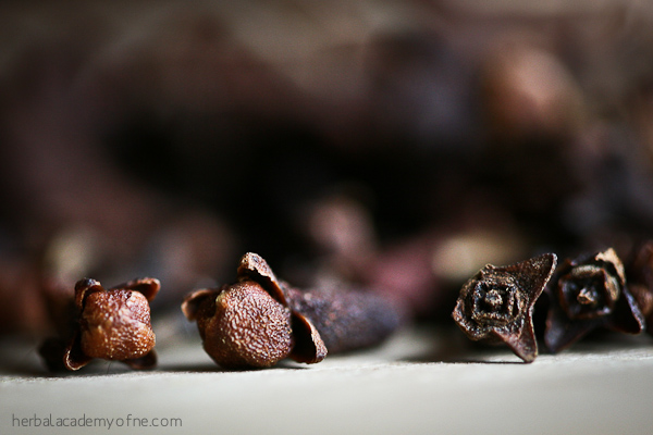 What are cloves? Get the health benefits!