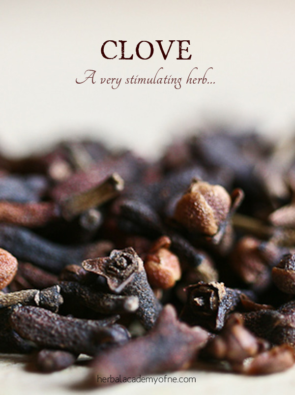 what are cloves - a stimulating herb