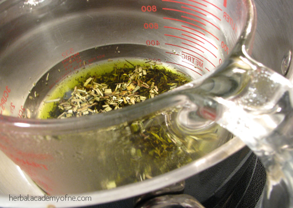 making a healing salve- infusion