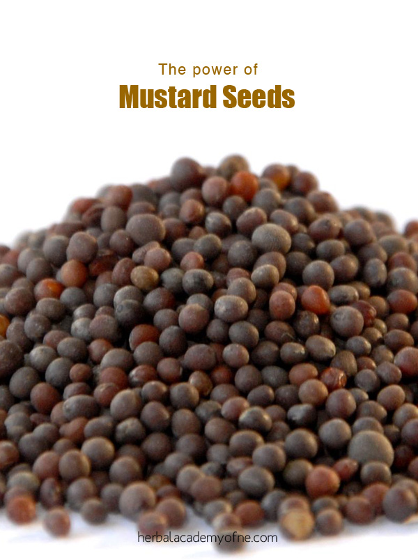 the power of mustard seeds