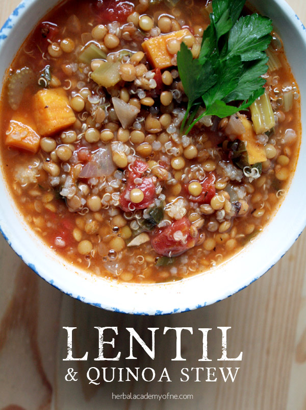 vegan lentil and quinoa stew