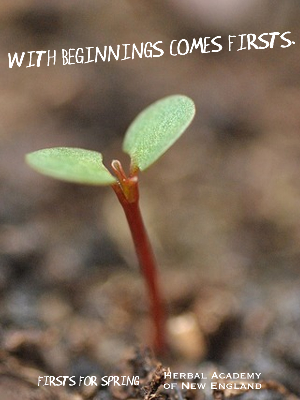 With Beginnings Comes Firsts