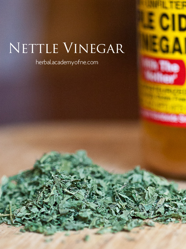 Nettle Spring Tonic Vinegar Recipe - Oshala Farm