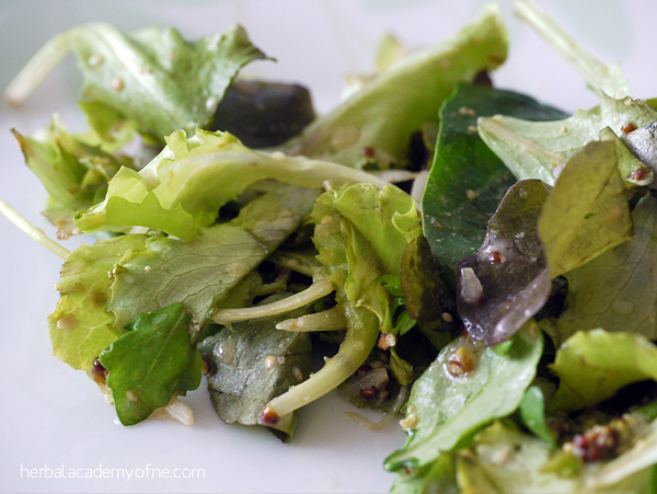 Nettle Recipes - Vinegar Salad Dressing