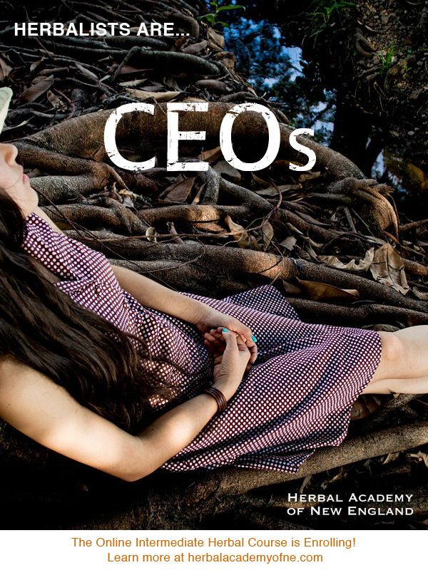 Herbalists are CEOs - Herbal Academy of New England