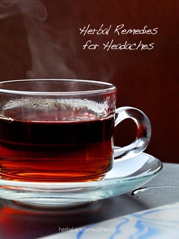 Herbal Remedies for Headaches - Herbal Academy of New England