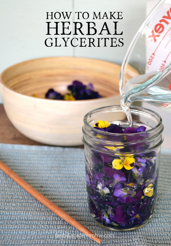 How To Make Herbal Glycerites - Herbal Academy of New England
