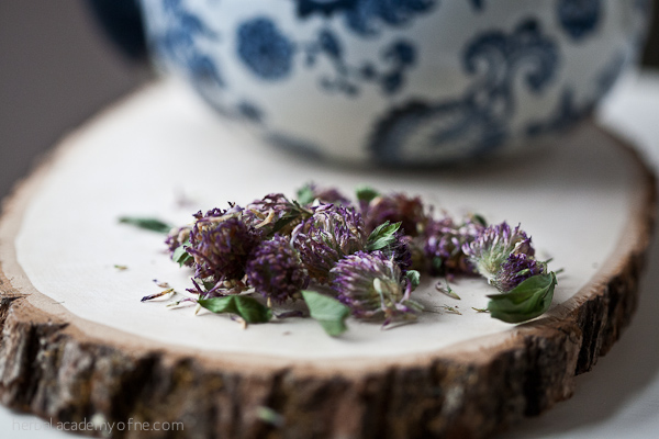 Red Clover Tea - Herbal Academy of New England