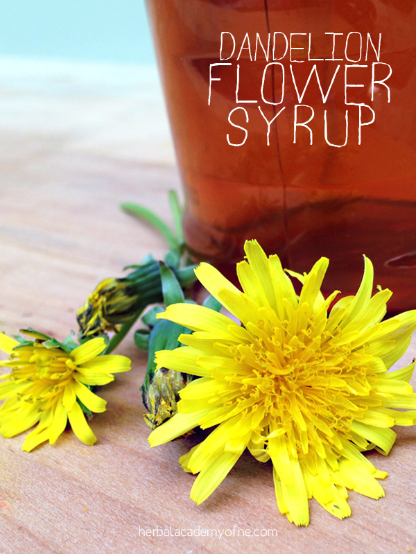 Sweeten Your Breakfast With Dandelion Flower Syrup | Herbal Academy | This spring I vowed I was going to make use of the happy little flower that I grew up thinking was the enemy. I use this dandelion flower syrup on waffles!