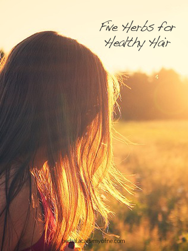 Five Herbs for Healthy Hair - Herbal Academy