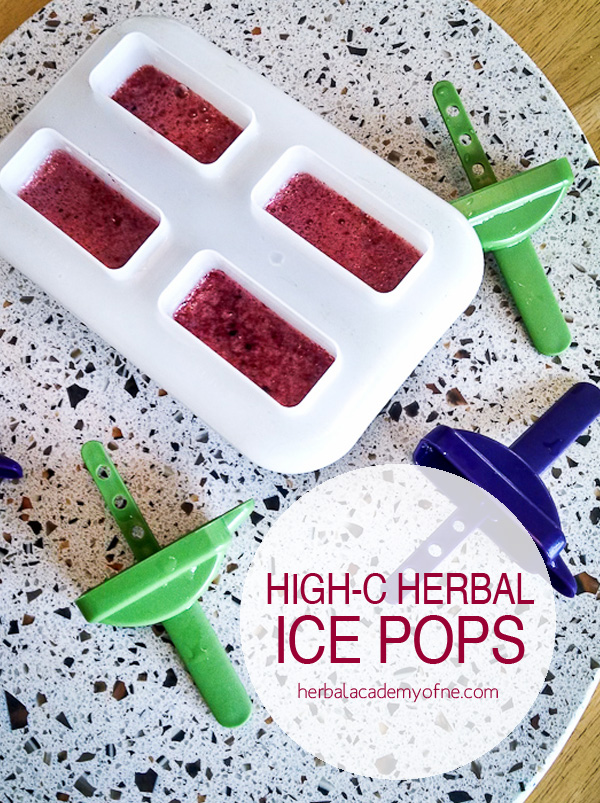High-C Herbal Ice Pops - Herbal Academy of New England