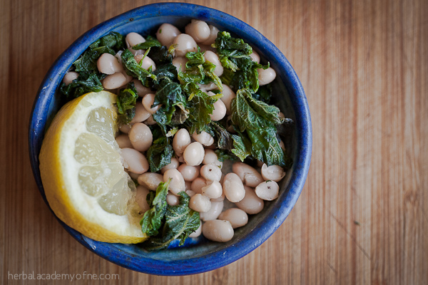 12 Nettle Recipes To Add To Your Cookbook | Herbal Academy | Stinging Nettles can be harvested, dried and incorporated into your diet year round for nourishment – add these delicious nettle recipes to your cookbook!