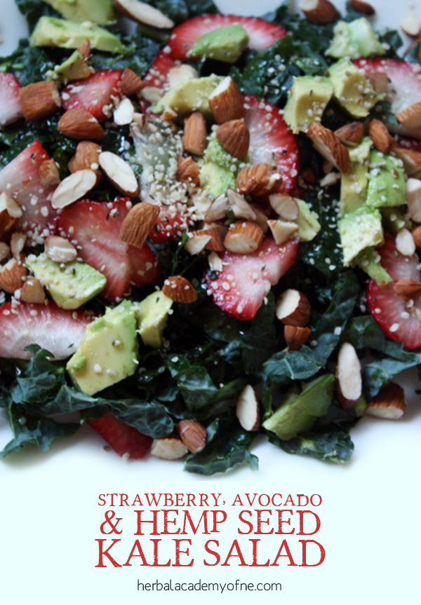 Strawberry, Avocado & Hemp Seed Kale Salad