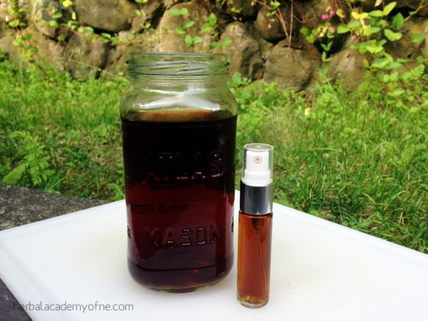 A Summer Bitters Recipe - Herbal Academy of New England