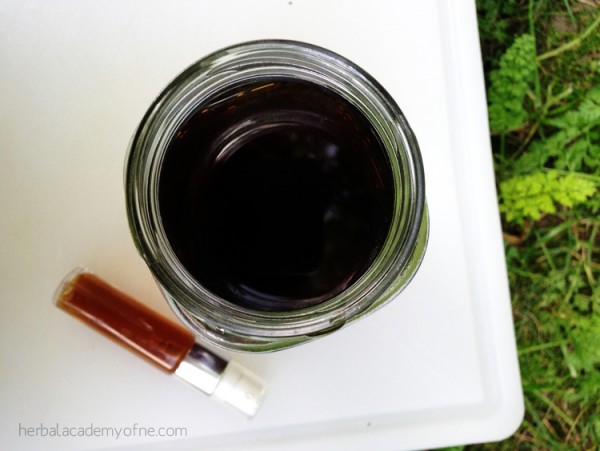 A Summer Bitters Spray - Herbal Academy of New England