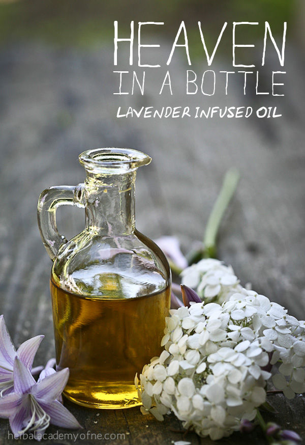 Heaven in a Bottle - lavender infused oil recipe
