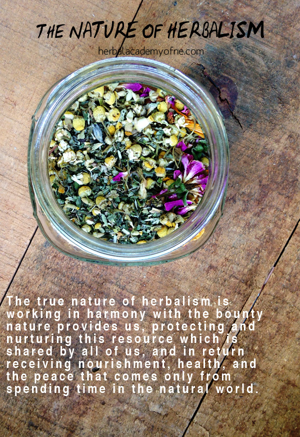 The Nature Of Herbalism - For that is the true nature of herbalism--working in harmony with the bounty nature provides us, protecting and nurturing this resource which is shared by all of us, and in return receiving nourishment, health, and the peace that comes only from spending time in the natural world.