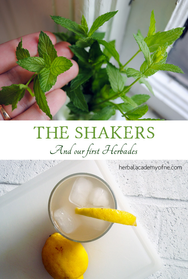 The Shakers and our first Herbades recipes