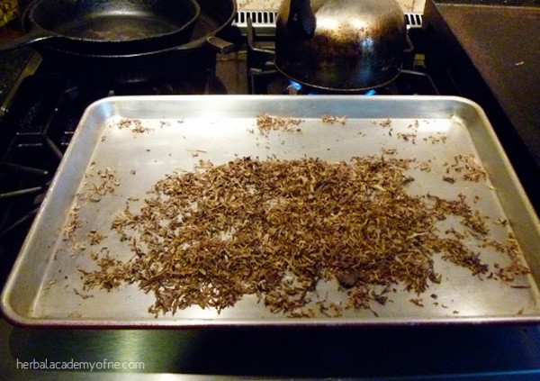 Dried Medicinal Root from Fall Harvest - Preparing Roots