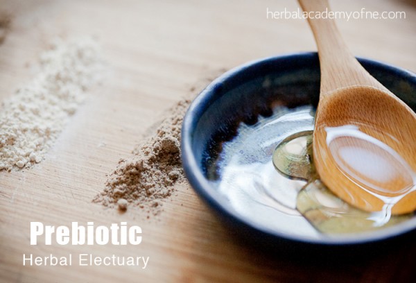 Prebiotic Herbal Electuary Recipe to Support Healthy Gut Flora