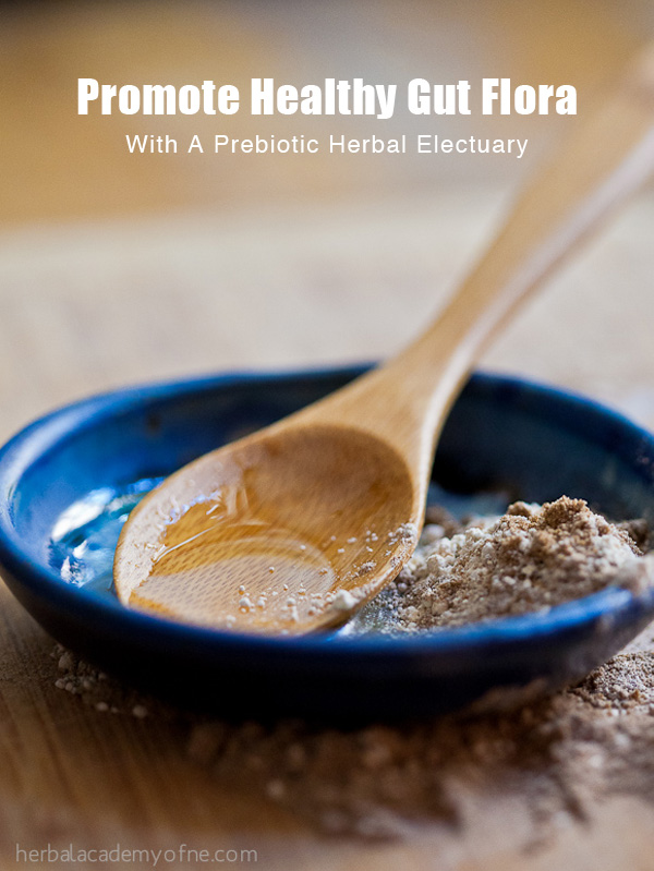 Promote Healthy Gut Flora With A Prebiotic Herbal Electuary