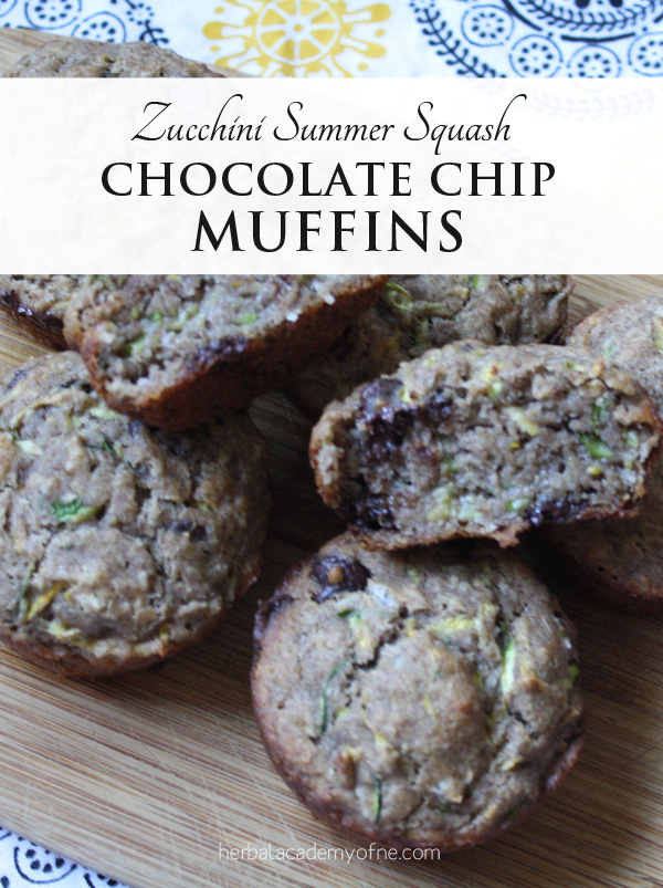 Zucchini Summer Squash Chocolate Chip Muffins - Herbal Academy Blog
