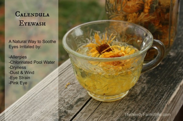 Calendula Natural Remedy Eye Wash