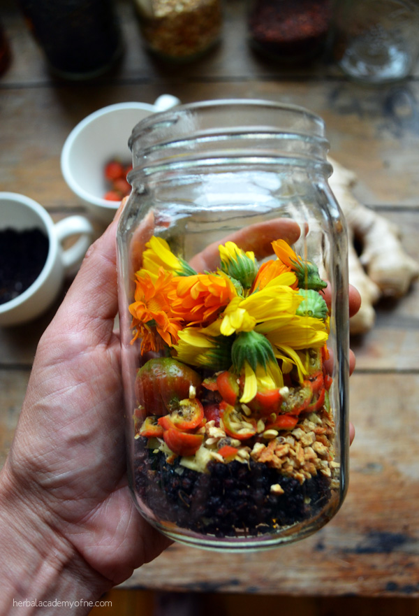 Elderberry Calendula Cold and Flu Elixir | Herbal Academy | Elderberry is in many of our apothecaries as the go-to herb at the initial signs of the flu. Our Cold and Flu Elixir includes both elderflower and ginger.