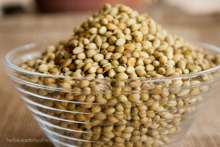 How To Save Culinary Seeds- And Learn how to Harvest and Use them