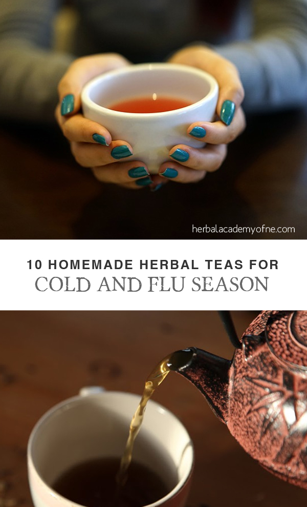 Ten Homemade Herbal Teas for Cold & Flu Season - Herbal Academy of New England
