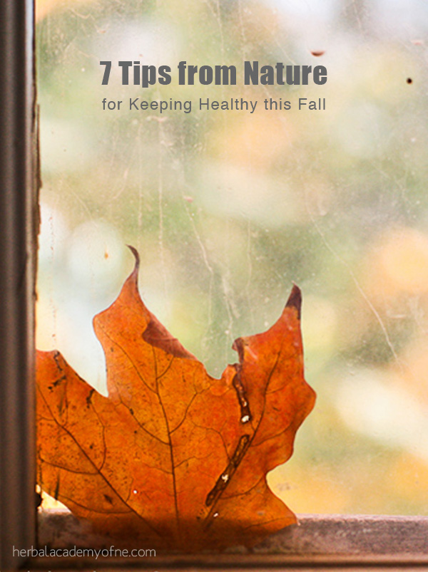 7 Tips from Nature for Keeping Healthy this Fall