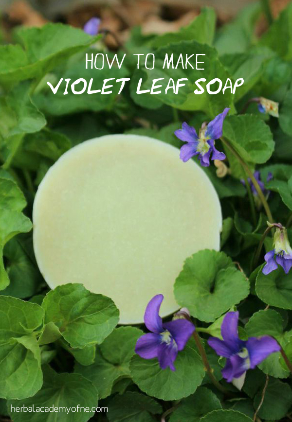 How to Make Violet Leaf Soap - Natural Soap Making Recipe