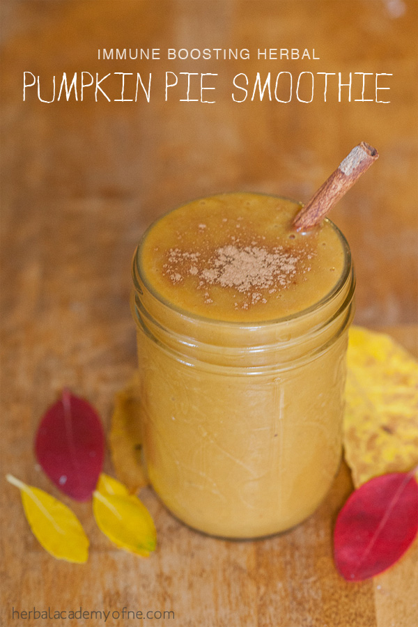 Immune Boosting Herbal Pumpkin Pie Smoothie - Real food by the Herbal Academy of New England