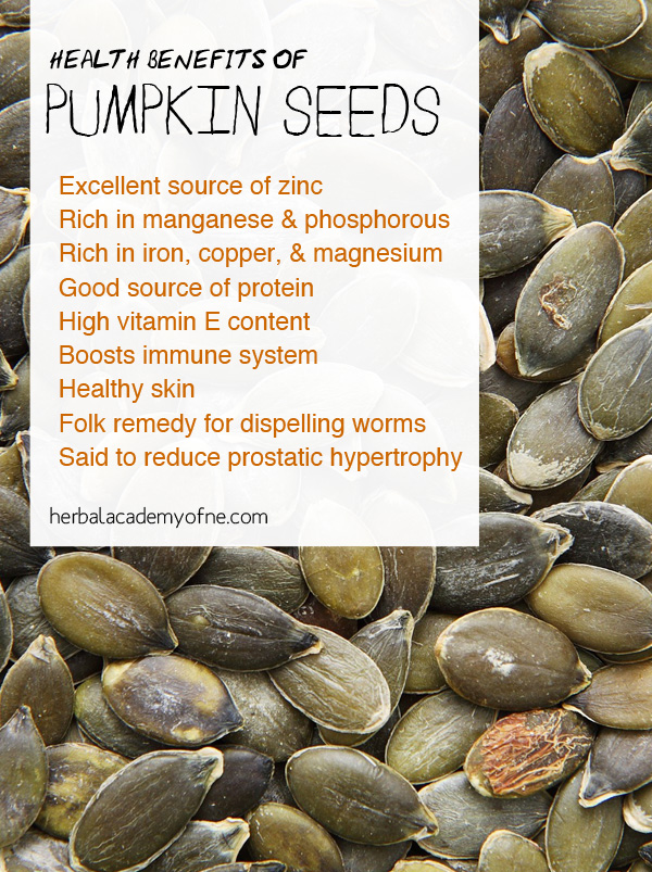 The Health Benefits of Pumpkin Seeds - Herbal Academy of New England