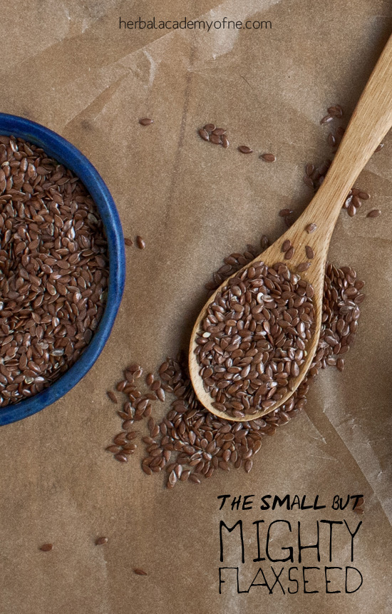 The Small But MIGHTY Flaxseed
