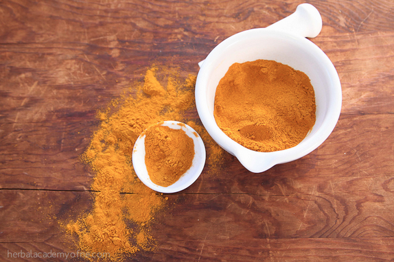 Turmeric for Dogs and Animals