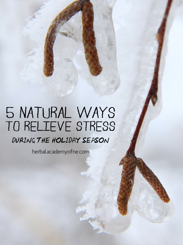5 Natural Ways to Relieve Stress During the Holiday Season - by the Herbal Academy