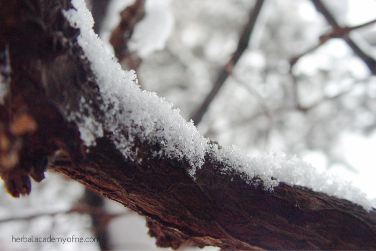 5 Natural Ways to Relieve Stress During the Holidays