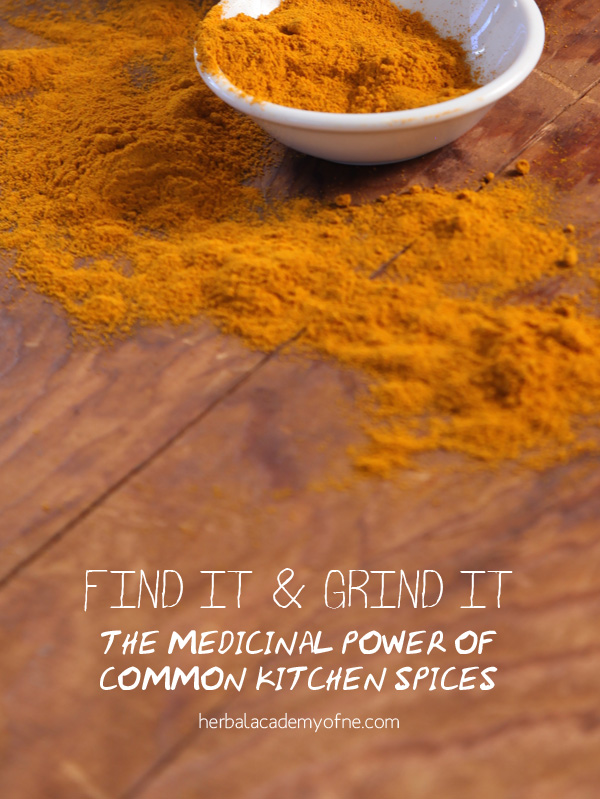 Find It and Grind It- The Medicinal Power of Common Kitchen Spices