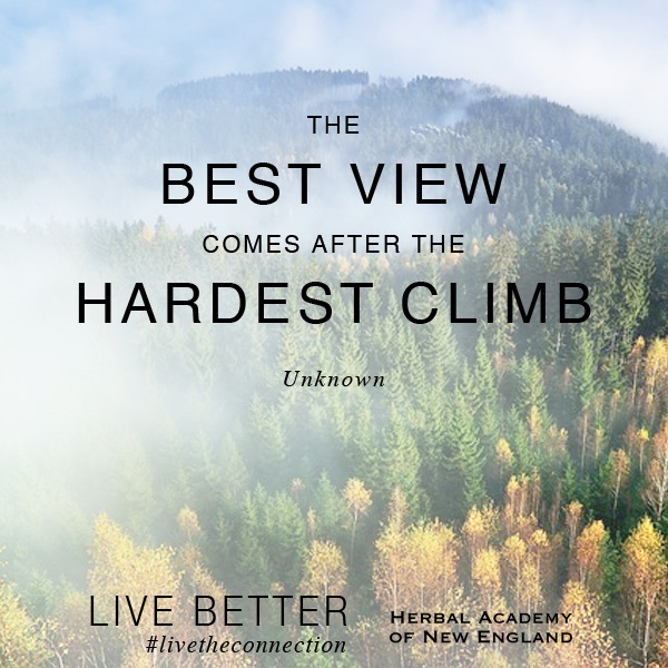The Best View comes from the Hardest Climb. Set your goals high and aim for success. 